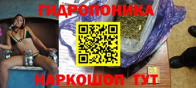 прущие грибы Славянск-на-Кубани