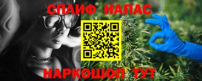 прущие грибы Славянск-на-Кубани