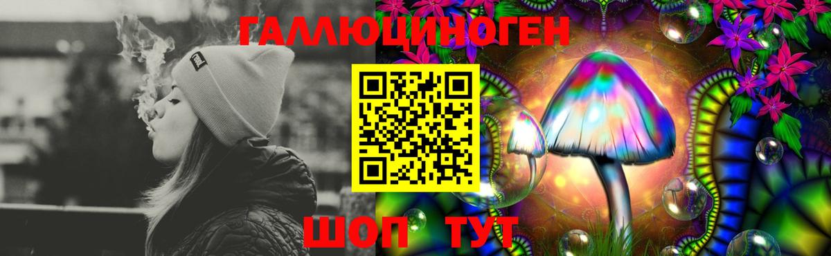 Псилоцибиновые грибы прущие грибы Муром